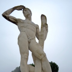 Aquila