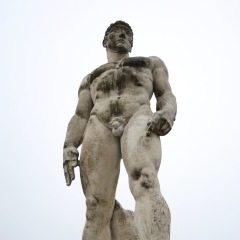 Bari